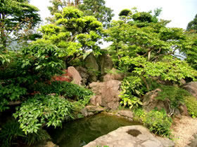 T邸　日本庭園　池及び滝口